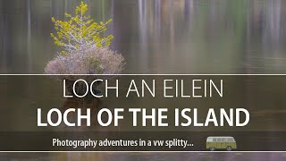 Photographing Scots Pines at Loch An Eilein - The Loch of the Island