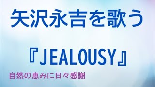 『JEALOUSY』／矢沢永吉を歌う_222　by 自然の恵みに日々感謝