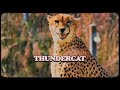 Thundercat & Tame Impala - 'No More Lies' (Trailer)