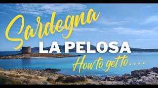 La Pelosa Beach Reservation, Access, Parking, and Check In