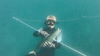 C Hunters spearfishing  Vol 1