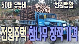 40대 전원생활| 참나무 장작가격| 난방비| 전원생활 브이로그|써니네TV