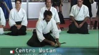 Aikido Gyo Fu Kan-Francis Lorenzo.flv