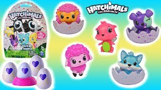 Hatchimals - CollEGGtibles 4-Pack + Bonus (Styles \u0026 Colors May Vary) by Spin Master