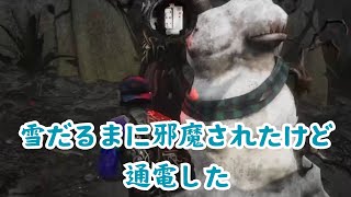 雪だるまに邪魔されたけど【DBD】（極寒イベント）