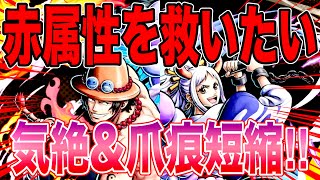 赤属性を救いたいキゼツメ短縮エース＆ヤマト編‼️火力を上げてルッチも狩れる‼️【バウンティラッシュ】