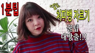 [1분팁 처피뱅자르기] 머리빨100쌤의 셀프로 얼굴작아보이는 앞머리 망하지않고 잘 자르는방법 / 얼굴소멸컷 앞머리있는단발 묶어도이쁜 앞머리