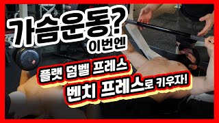 벤치 프레스 잘해서 가슴키우기! 가슴이 어려워? 정말 쉽다니까!!!