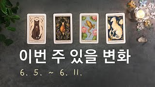 [타로/주간운세] 6월 둘째 주 어떤 일이 있을까?(6. 5. ~ 6. 11.)