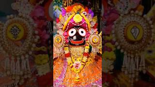 ଧୋ ରେ ବାଇୟା ଧୋ #jagannath