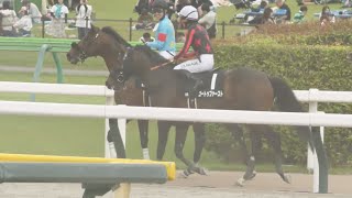 【武豊】ヴルカーノレース後、川田将雅騎手と何やら会話をして引き上げ2024年5月12日