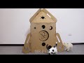 how to make house for pomeranian dog with cardboard