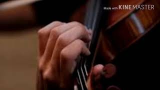 Mizhiyil Ninnum|| MAYAANADI || Violin version || whatspp status || bgm || Shadows