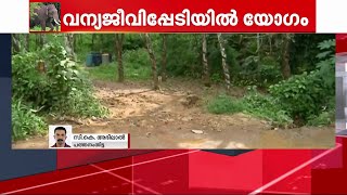 വന്യജീവിശല്യം തുടരുന്ന പത്തനംതിട്ടയിൽ ഇന്ന് വനം വകുപ്പ് മന്ത്രിയുടെ യോഗം | Mathrubhumi News