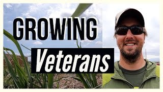 Growing Veterans | Farm Therapy and Peer Support for Veterans