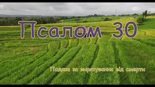 Псалом 30 ⛑☄️ Подяка за вирятування від смерти ⛑☄️ Псалом українською мовою (пер. І. Хоменка) ☄️