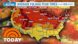 Peak foliage times across the US for 2023