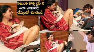 సమంత కొత్త లైఫ్ ని ఎలా ఎంజాయ్ చేస్తుందో చూడండి | Samantha CUTE Moments With Her Pet Dog | ALT