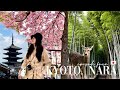 KYOTO & NARA, JAPAN: A Travel Guide | Day Trip from Osaka ⛩️🦌🇯🇵