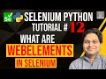 Selenium Python Tutorial #12 - What is WebElement in Selenium