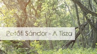 Petőfi Sándor - A Tisza