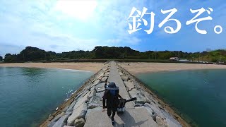 秋チヌが釣りたくて海浜公園に行ったら