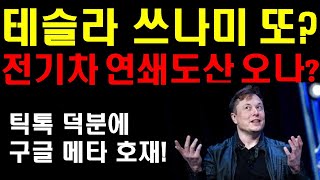 테슬라 쓰나미 또? 월가는 테슬라의 미친 상승이 와야 정신 차린다! 전기차 연쇄도산 오나? 전기차 위기가운데 테슬라의 위치! 다음주 중요한 승부처가 된다! 팔란티어 비트코인 흐름