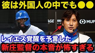 日ハム新庄監督「外国人選手の中でも●●なタイプ」レイエスに覚醒を予言した新庄監督の本音が当たりすぎてて怖い【日本ハムファイターズ/プロ野球】