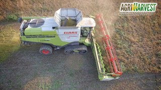 *NEW* Claas Convio Flex 1080 | Agroservizi