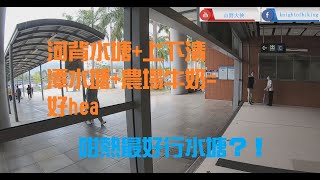 [香港行山] 2021.05.30 河背村-河背水塘-下清潭水塘-上清潭水塘-農場牛奶-雷公田-荃錦公路