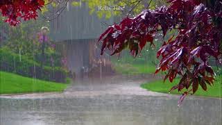 Relaxing Rain Sound Under Plastic Roof,Rain Sounds for Sleeping Heavy Drops of Rain On Plastic Roof