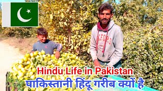 Hindu Life in Pakistan🇵🇰|| पाकिस्तान में हिंदू गरीब क्यों है || Suresh Thakur Vlogs