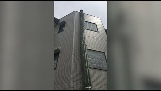 Giant cactus grows on the side of a 3-story building in Japan