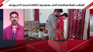 കാട്ടുപന്നിയെ ഇടിച്ച് സ്കൂട്ടർ മറിഞ്ഞ് ദമ്പതികൾക്ക് പരിക്ക് | Wild Boar Attack