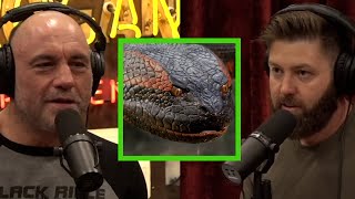 Forrest Galante on the Myth of Giant Anaconda's in the Amazon