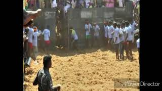 Melur S.Guna jallikattu peravai..(2)