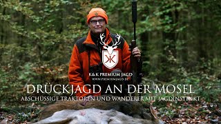 Drückjagd in den Moselhängen - Abschüssige Traktoren und Wanderer mit Jagdinstinkt