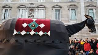 450 anys de la Mulassa de Barcelona I Ball de la Mula Baba de Girona I Gegants #Mulassa