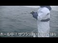 【海釣り情報】真鯛が高活性な伊勢湾！前半戦