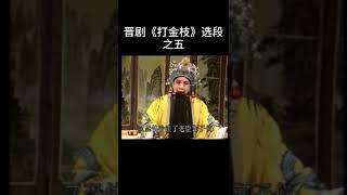 中国传统戏曲经典：晋剧《打金枝》选段之五