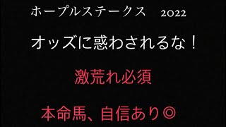 【ホープフルS2022 予想】　血統的に中山巧者のこの馬から行きます🐎　　本命馬の複勝自信◎