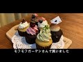 可愛いケーキで愛犬の誕生日をお祝いしました　ep79