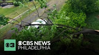 Strong storms topple trees across Philadelphia region, knock out power