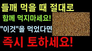 들깨'이렇게'절대 먹지 마세요! 들깨와 최고의 궁합 음식 3가지와 최악의 궁합 음식 3가지