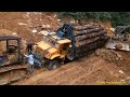 part 2 lori balak sangkut [ logging truck santaiwong Malaysia]