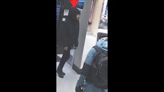 Prolific Shoplifter Arrested By Police