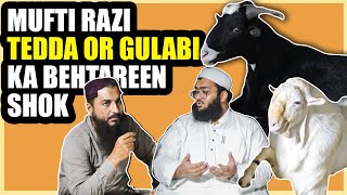 Teddy shok of | Mufti Razi Sahab | karachi full interview livestock Infotainment .