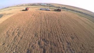 2015 Wheat Harvest - Cut Bank Montana with two Versatile RT490 Combine's