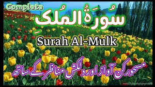 Heart touching Recitation || surah Mulk | Beautiful Quran Recitation || With Beautiful Scenes