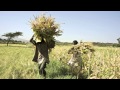 Ethiopia climate hearing: Taking action against climate change